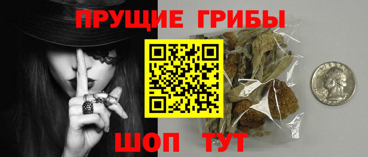 Псилоцибиновые грибы прущие грибы  что такое   Иваново  Вход с VPN 