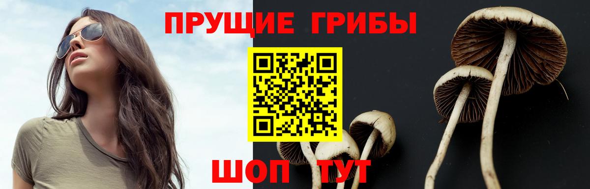 Псилоцибиновые грибы MAGIC MUSHROOMS Иваново