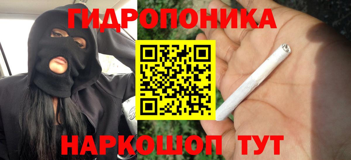 Бошки марихуана LSD WEED  Вход с VPN  Каннабис планчик  Иваново  Канабис сатива  Каннабис план 