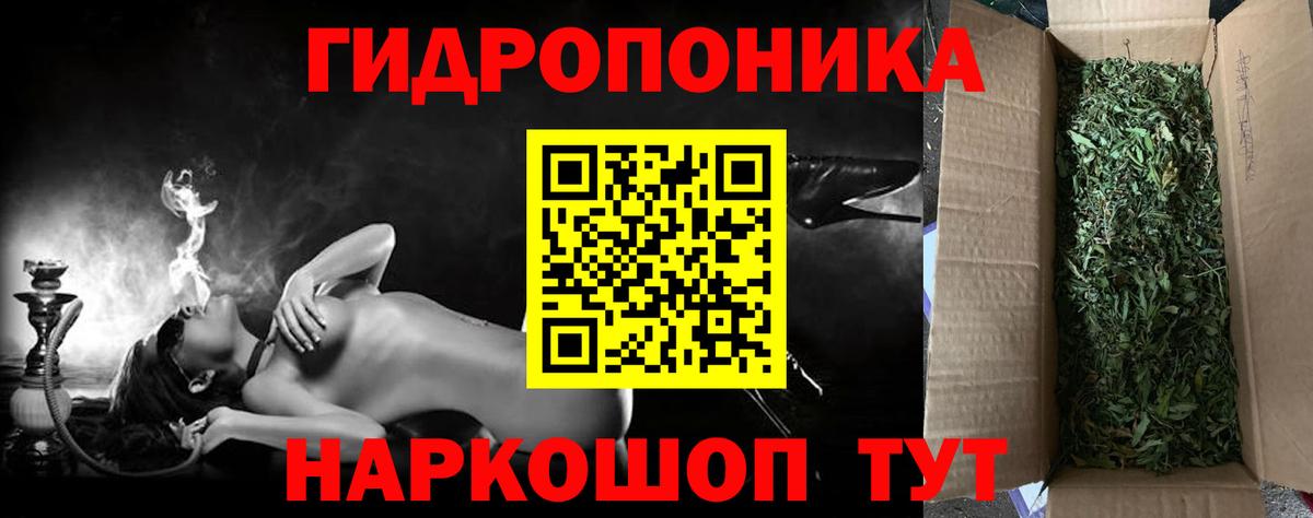 Конопля конопля Иваново
